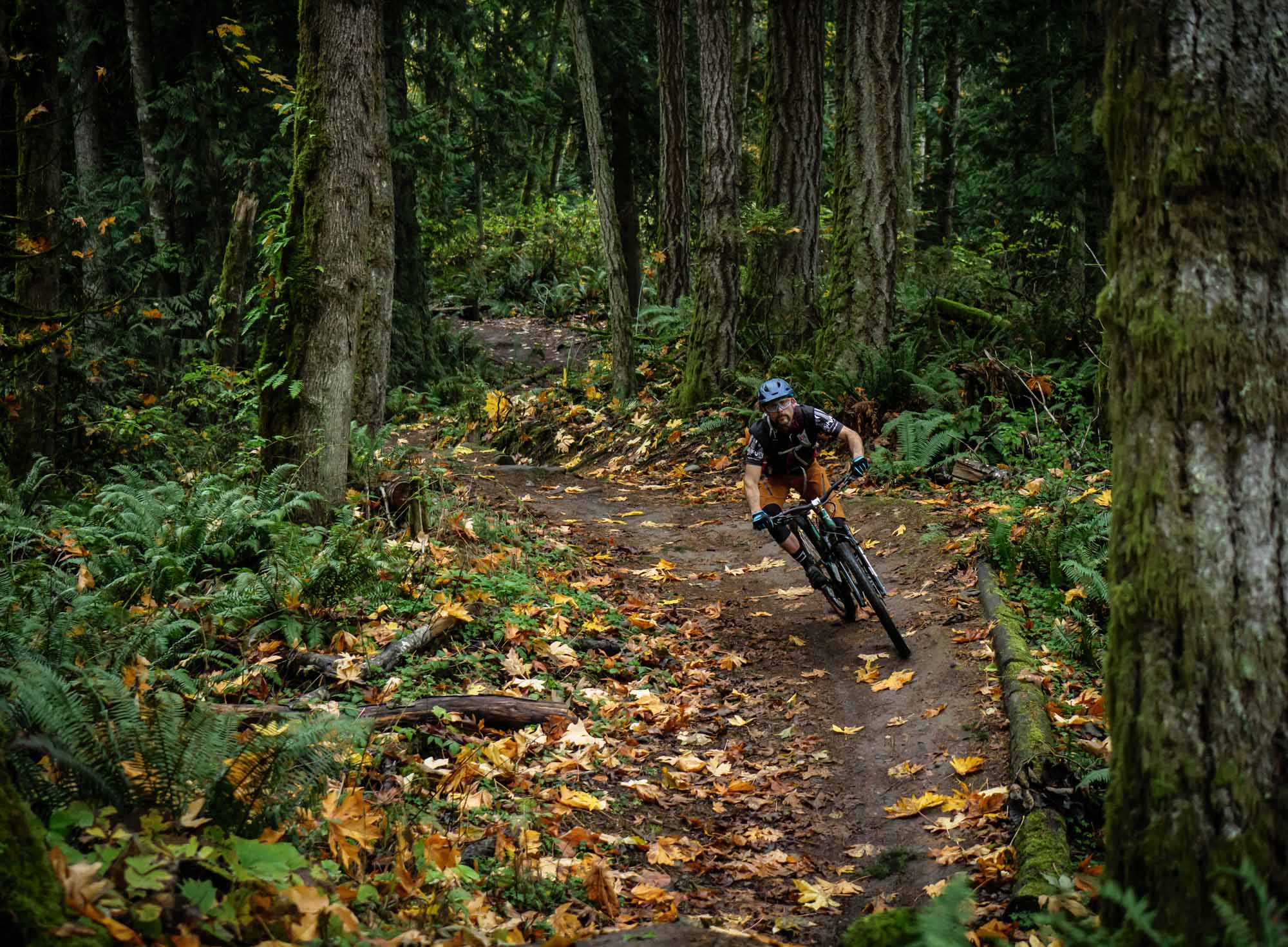 Bill, carving turns on his Revel Ranger.